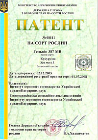 Гельвин 387 МВ - семена кукурузы