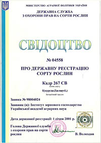 Кадр 267 МВ - семена кукурузы