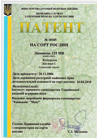 Липовец 225 МВ - семена кукурузы