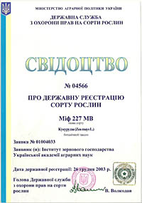 Миф 227 МВ - семена кукурузы