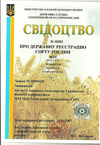 МТИ - семена кукурузы
